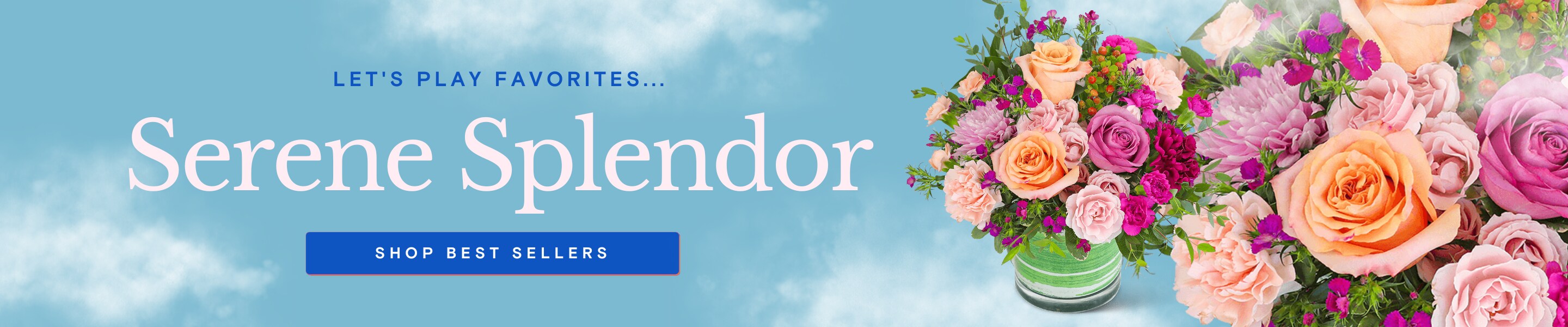 Flower Delivery to Solon by Duffy's Flowers & Plants
